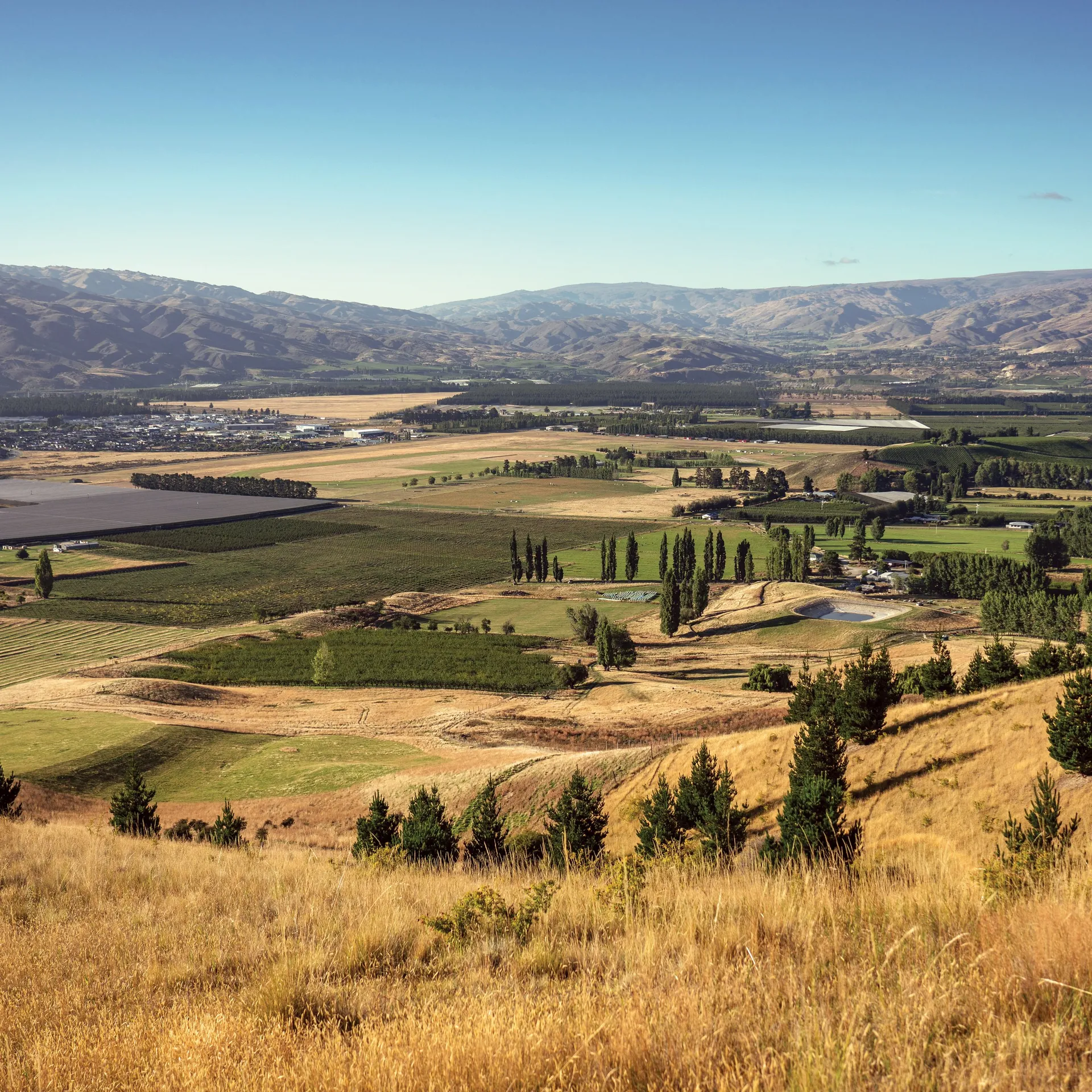 Shannon Farm landscape